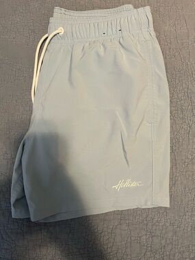Hollister Swim Trunks 5”